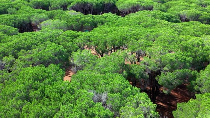 Ecosystem Restoration, Climate Resilience, and Green Jobs-green-skill-hub-