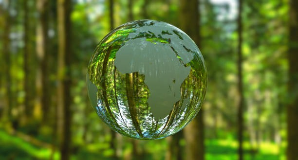 Africa’s Green Transition in 2025: Momentum, Challenges, and Opportunities